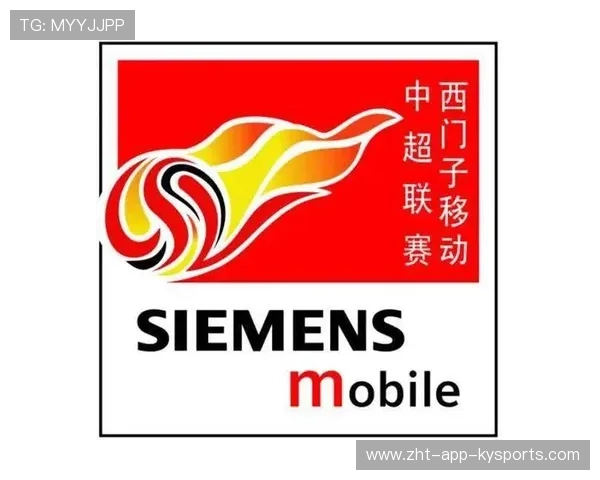 职业联赛的赞助方案设计